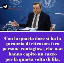 Draghi Quarta 250x249