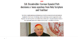 Brandmüller. Il Cammino Sinodale Tedesco è Apostasia di Massa. Brandmuller 250x125
