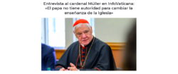 Müller a Infovaticana. Il Papa non è un Deus in Terris, non Ha Potere Illimitato. Schermata 2022 09 25 Alle 06.20.13 250x105