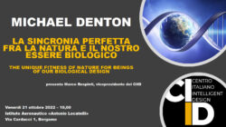 Bergamo Denton 250x140