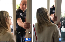 Disastri delle Leggi Zan. Madre anti-Gender Arrestata in UK senza Mandato davanti ai Figli. cartoline farrow