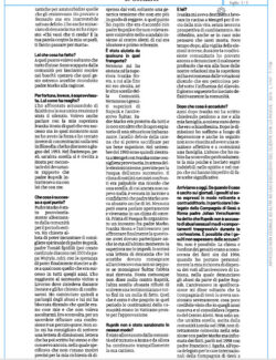 Domani 4 250x325