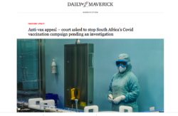 sud africa daily maverick 