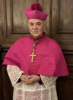 Vigano 6 Gennaio 2023 250x340