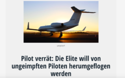 Pilote Elite Uncut News 250x157