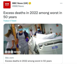 BBC Morti Eccess 250x209