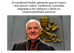Müller e la Messa Antica: il Papa Sminuisce i Vescovi e Danneggia la Pastorale. Schermata 2023 02 24 Alle 14.51.24 250x181