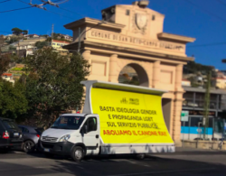 Pro Vita Canone 250x195