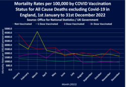 UK Morti Per Dose 2022 2 250x172