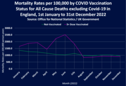 UK Morti Per Dose 2022 3 Bis 250x172