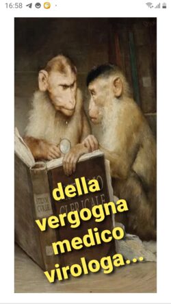 Bestiario Vergogna 250x444