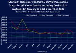 Uk Morti Per Dose 2022 3 250x174