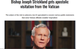 Preghiamo per mons. Strickland, sotto attacco dal Vaticano. Schermata 2023 06 27 Alle 10.55.06 250x162