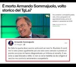 Sommajuolo 250x221