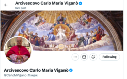 Vigano X Twitter 250x157