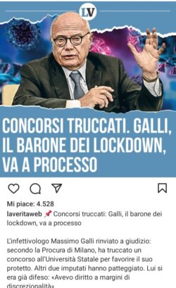Galli 250x409