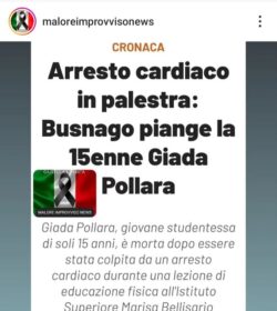 Malore Palestra 250x280