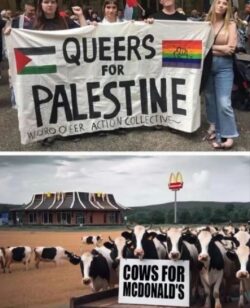 Queers For Palestine 250x308