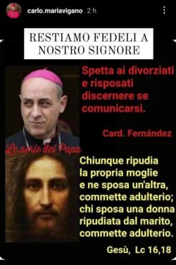 Tucho Vigano 250x377