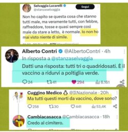 Contri Lucarelli 250x257