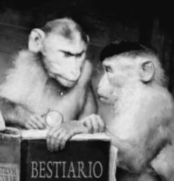 Bestiario Bn 250x261