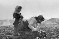 Israele Schiaffeggia Erdogan con il Genocidio Armeno. Che però non Riconosce Ufficialmente... Genocidio Armeno 250x164