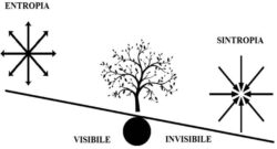 Verso l'Unione, o verso la Disintegrazione? Il Matto. R.jpg Matto 250x135