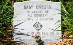 El aborto voluntario es la primera causa de muerte en el mundo. 44,6 millones. LifeSiteNews Schermata 2024 02 01 Alle 09.51.57 250x155