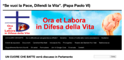 Aborto, 194. "Un Cuore Che Batte": la Proposta di Legge Verrà Discussa in Parlamento. Schermata 2024 02 23 Alle 14.31.11 250x121