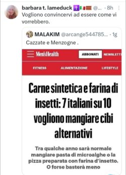 Carne Sintetica 250x347