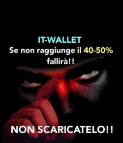 Wallet 250x291