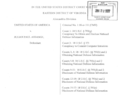 Assange 1 250x196