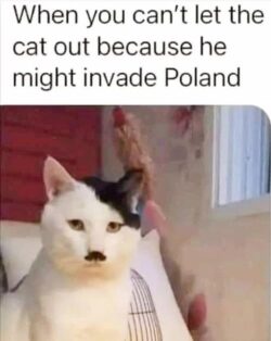 Gatto Hitler 250x314