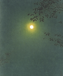 Matto Luna 250x304
