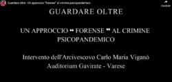 Vigano Gavirate Pandemia 250x119
