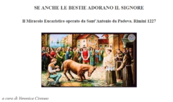Se anche le Bestie Adorano il Signore. Il Miracolo Eucaristico di Sant'Antonio. Alleati dell'Eucarestia. Alleati Antonio Eucaris 250x148