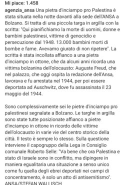 Pietra Dinciampo Pro Palestina 250x370