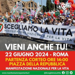 Vita Roma 22 250x250
