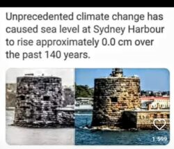 Sidney 250x214