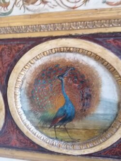 Bdv D 250x333