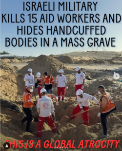 Gaza Massacro Jvfp 250x310