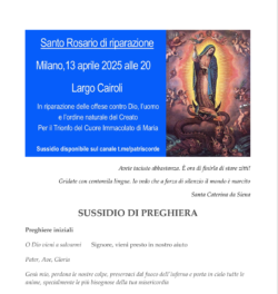Rosario Milano 250x264