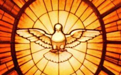 Espiritu Santo Paloma Spirito Santo 250x156