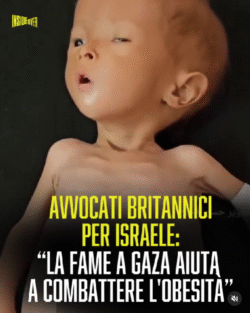 Gaza Obesita 250x313