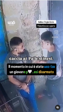 Uccisione Palestinese Disarmato 250x443