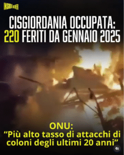 Cisgiordania 220 Feriti Coloni 250x312