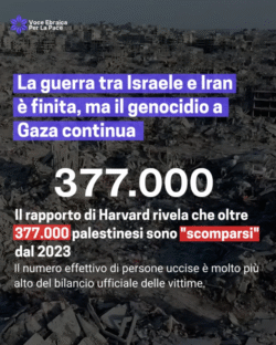 Vepp Genocidio Palestinesi Mancanti 250x312
