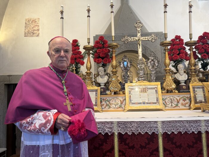 Vigano 29 Giugno 700x525