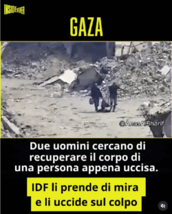 RSF Chiede al Consiglio di Sicurezza una Riunione sugli Omicidi dei Giornalisti Compiuti da Israele. Gaza Omicidi Idf 250x310