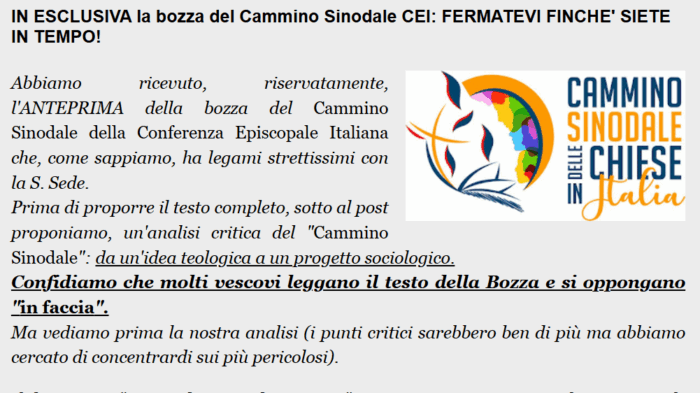 Cei Sinodo Bozza Mil 700x393